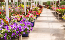 Garden centres and horticulture