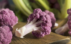 Purple cauliflower