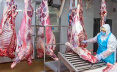 Slaughterhouses and meat-processing plants