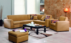 Sofas and living room furniture
