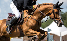 Equestrian sports and associated equipment