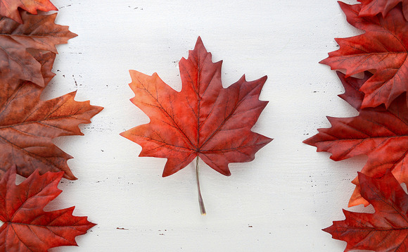 Canadian LPs investing in Europe Canadian LPs investing in Europe