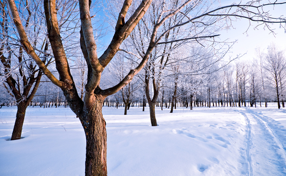 Winter Winter