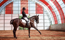 Dressage and equestrian sports