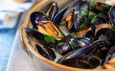 Mussels and seafood