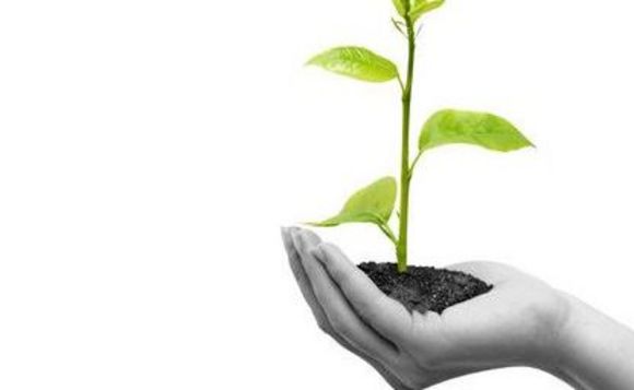Governments now play a vital role in seed funding Governments now play a vital role in seed funding