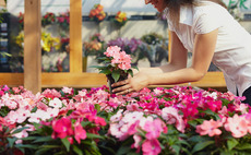 Garden centres and horticultural retailers