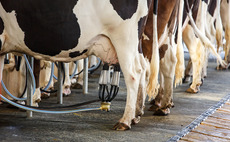 Livestock farming and cow milking machines