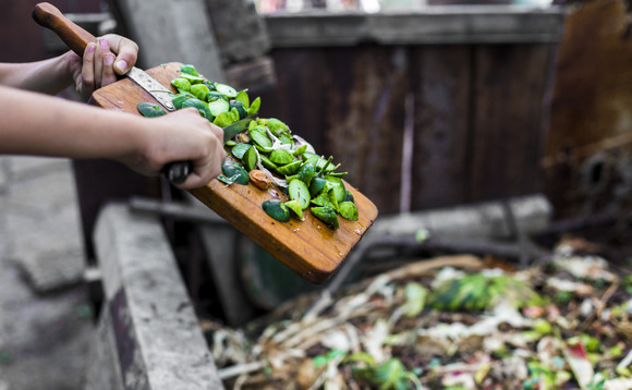 Organic waste recycling