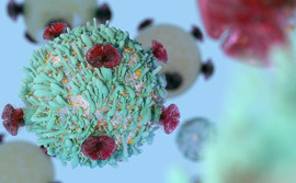 T-cells and biotechnology T-cells and biotechnology