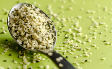 Hemp seeds