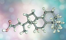 Cholic acid molecule