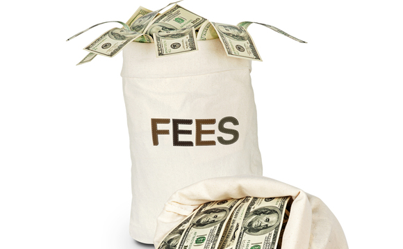 Standard management fees for large-cap funds remain controversial Standard management fees for large-cap funds remain controversial