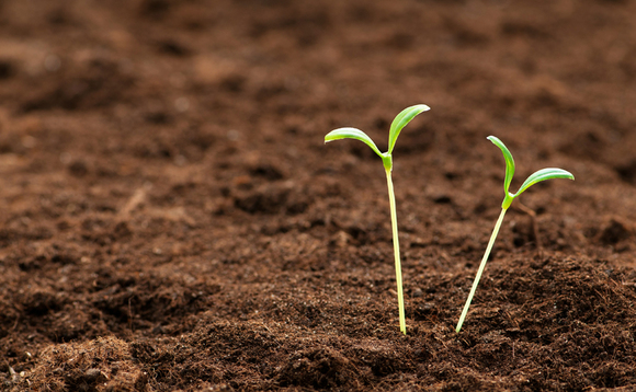 Seed companies in Germany are struggling to attract private finance Seed companies in Germany are struggling to attract private finance