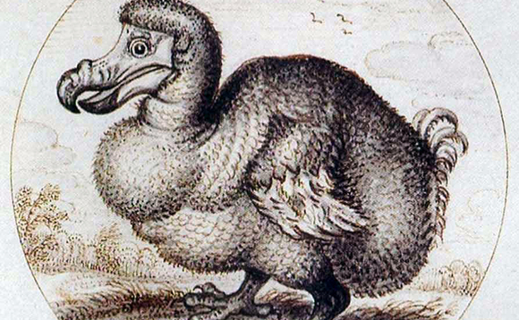 Gone the way of the dodo Gone the way of the dodo