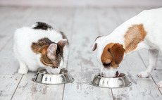 Dog and cat food producers