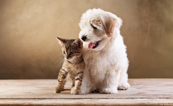 Pet food and animal products Pet food and animal products