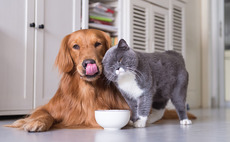 Dog and cat food producers
