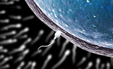 Sperm banks and artificial insemination