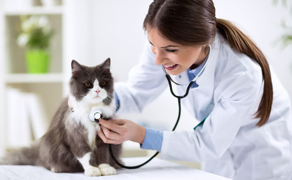 Veterinary clinics Veterinary clinics