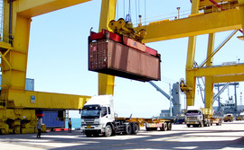Customs and freight companies