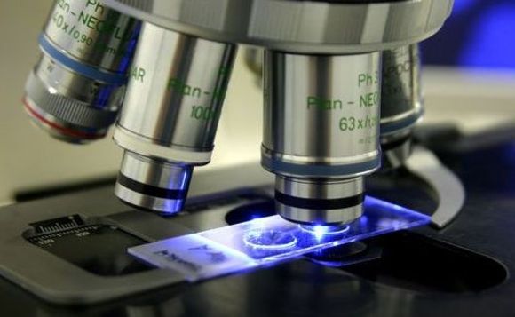 microscope-lab-web microscope-lab-web