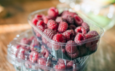 Berry punnets