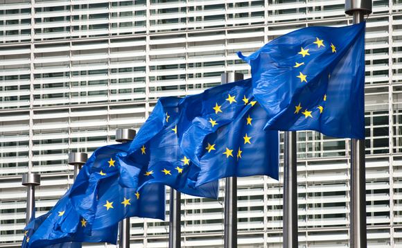 European Union flags European Union flags