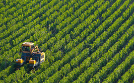 Agriculture and food production Agriculture and food production