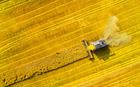 Biofuel harvesting
