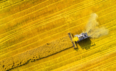 Biofuel harvesting