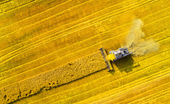 Biofuel harvesting Biofuel harvesting