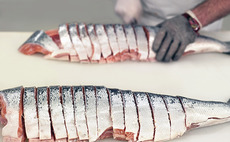 Salmon processing plants
