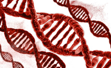 Biotechnology and DNA sequencing