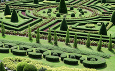 Hedges and topiary