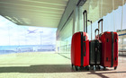Luggage and airport services