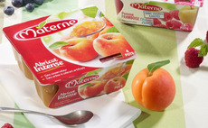Materne produce yoghurts and other food products