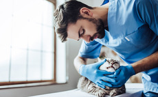 Veterinary services