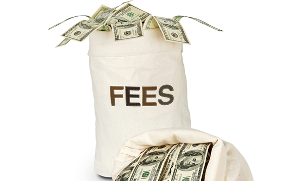 Standard management fees for large-cap funds remain controversial