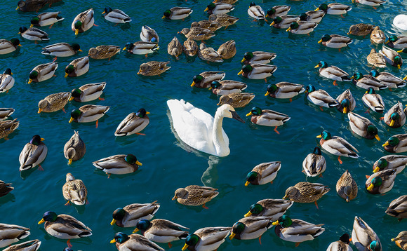 Standing out from the crowd Standing out from the crowd
