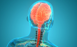 Central nervous system medications Central nervous system medications