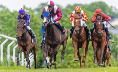 Horse racing and associated gambling services