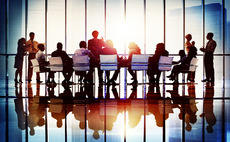 Company management teams and non-executive directors