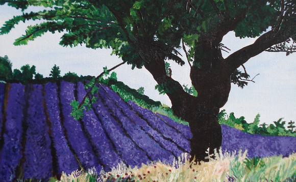 height-of-summer-crop height-of-summer-crop