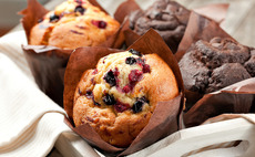 Blueberry and chocolate muffins